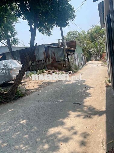 la bông hoà tiến sát vành đai giá 1290tr
