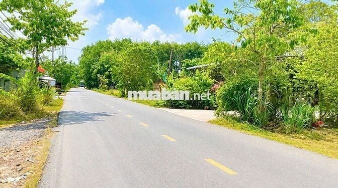 X.Nhuận Đức Đất diện tích lớn, thích hợp làm vườn, xưởng BÁN GIÁ NGỘP🔥