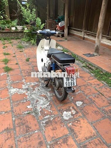 Honda Cub 88654 km Xanh Trắng