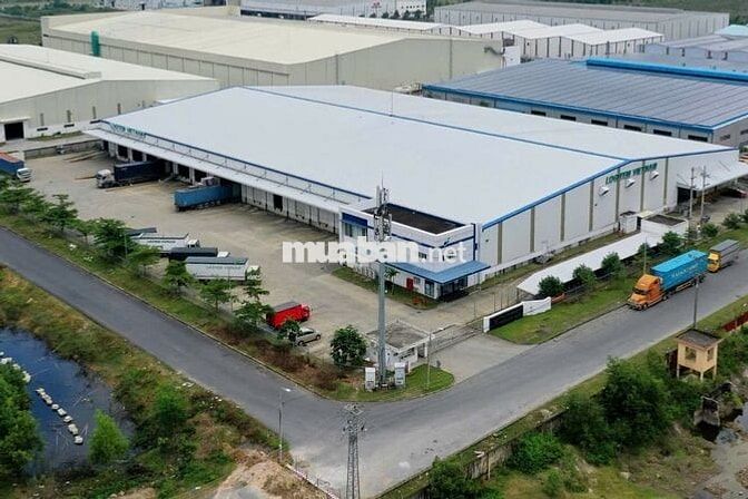 ✅✅ CHO THUÊ KHO XƯỞNG MỚI TẠI ĐÀ NẴNG – PCCC TỰ ĐỘNG – GIÁ CHỈ 55K/M²