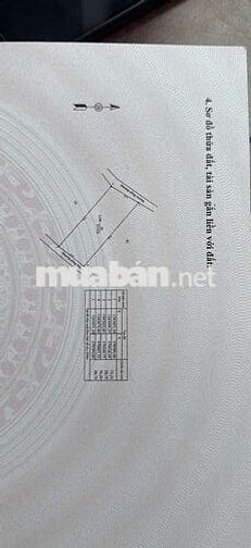 BÁN ĐẤT MẪU CAO SU SẴN KHAI THÁC