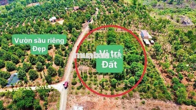 BÁN ĐẤT VƯỜN EA KAR - 551.8M² - 100% QUY HOẠCH THỔ CƯ - MẶT TIỀN 11M C