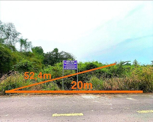 Công ty Đấu giá hợp danh Lam Sơn Sài Gòn thông báo đấu giá tài sản