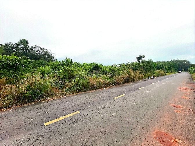 Công ty Đấu giá hợp danh Lam Sơn Sài Gòn thông báo đấu giá tài sản