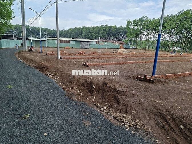bán đất nền.đất sào khu vực. Minh lập. Minh Hưng. đồng tâm 