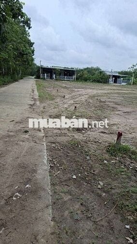 bán đất nền.đất sào khu vực. Minh lập. Minh Hưng. đồng tâm 