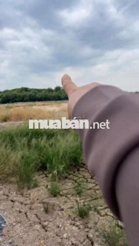 BÁN ĐẤT BỜ SÔNG – CẦN GIỜ - AN THỚI ĐÔNG -HỒ CHÍ MINH.