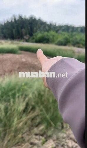BÁN ĐẤT BỜ SÔNG – CẦN GIỜ - AN THỚI ĐÔNG -HỒ CHÍ MINH.