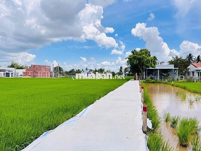 Bán xả hai lô 190m2 chỉ 400tr, Tân Trụ, Long An