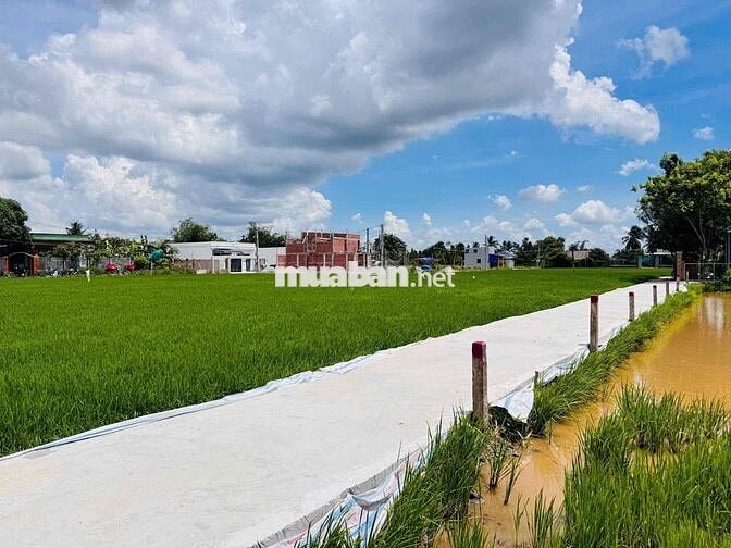 Bán xả hai lô 190m2 chỉ 400tr, Tân Trụ, Long An