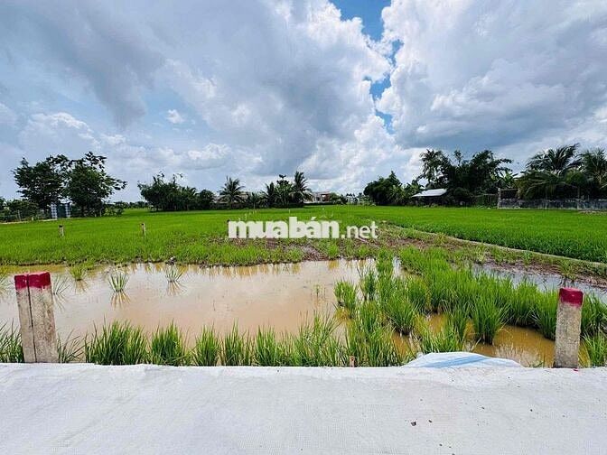Bán xả hai lô 190m2 chỉ 400tr, Tân Trụ, Long An