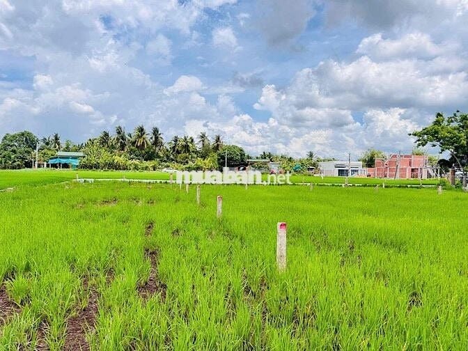 Bán xả hai lô 190m2 chỉ 400tr, Tân Trụ, Long An