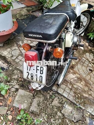 Honda Cub 50cc Trắng