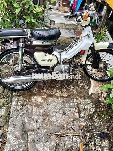 Honda Cub 50cc Trắng