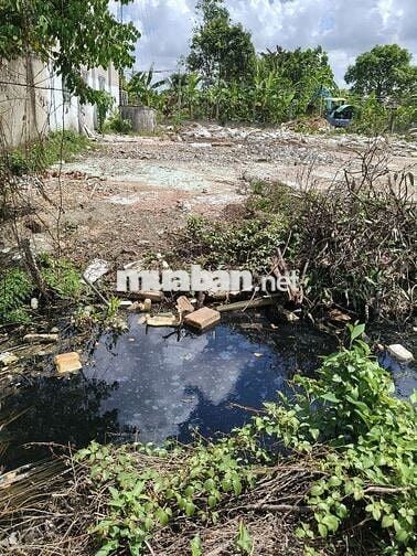 Đất thổ cư KP 9 Thị Trấn Bến Lức 
