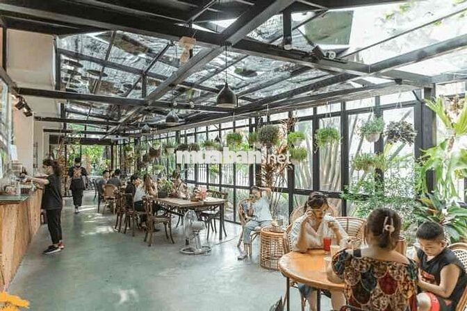Biệt Thự Sân Vườn Hiếm Có Giữa Trung Tâm Phú Nhuận | 28x18m trệt lầu