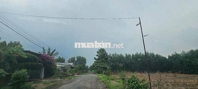 Bán đất tại xã Phước Thuận, 45 tỷ, 1000m2, pháp lý đầy đủ, uy tín 