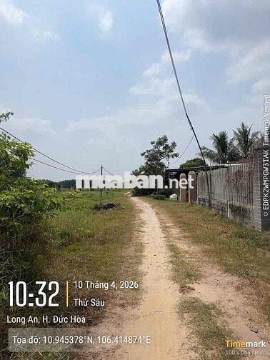 Ngân hàng thanh lý tài sản: xã Tân Mỹ, Huyện Đức Hoà, Long An