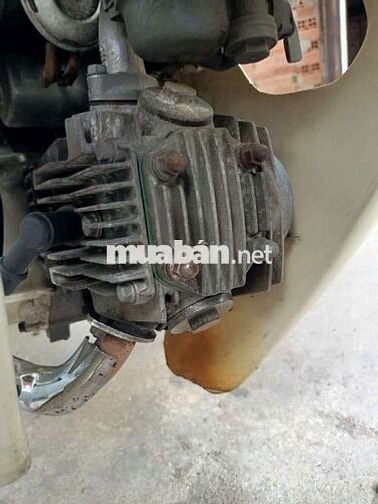 Honda Super Dream 1999 Tím, Trắng