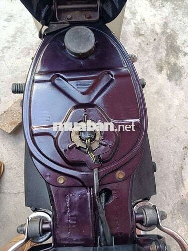 Honda Super Dream 1999 Tím, Trắng