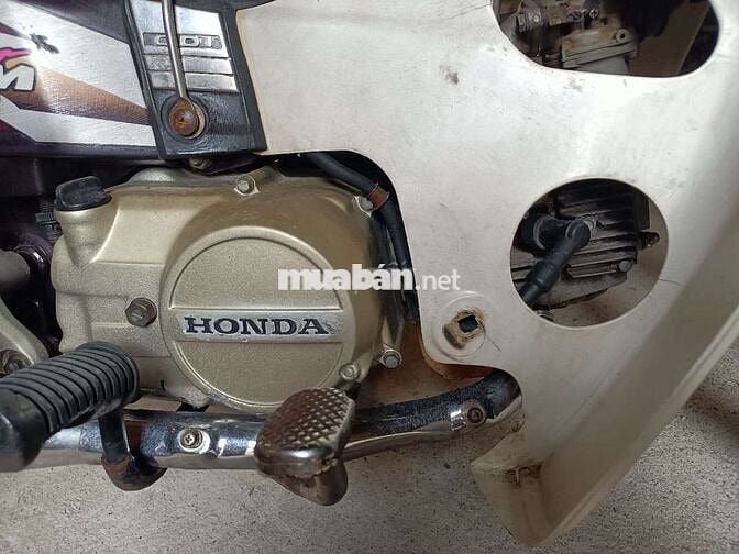 Honda Super Dream 1999 Tím, Trắng