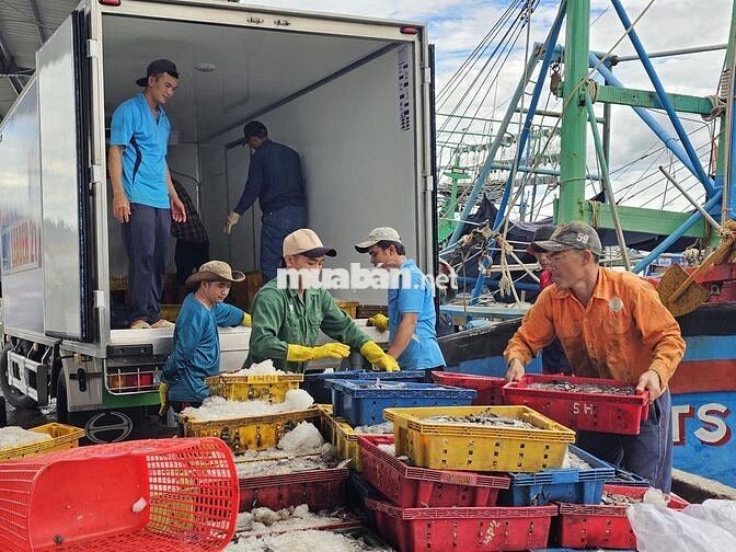 CHÍNH CHỦ CẦN BÁN ĐẤT CÁT KHÁNH GIÁ CHỈ 770 TRIỆU/NỀN