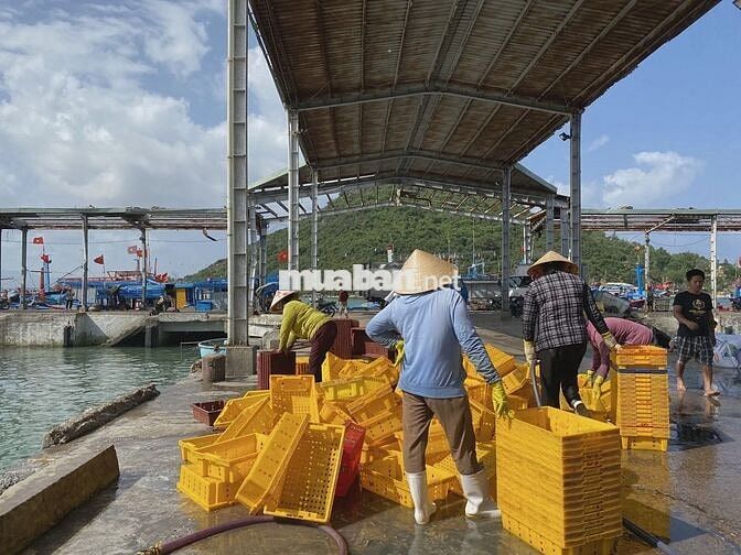 CHÍNH CHỦ CẦN BÁN ĐẤT CÁT KHÁNH GIÁ CHỈ 770 TRIỆU/NỀN