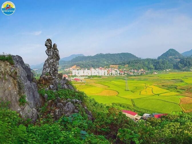 CHÍNH CHỦ CẦN BÁN ĐẤT CÁT KHÁNH GIÁ CHỈ 770 TRIỆU/NỀN