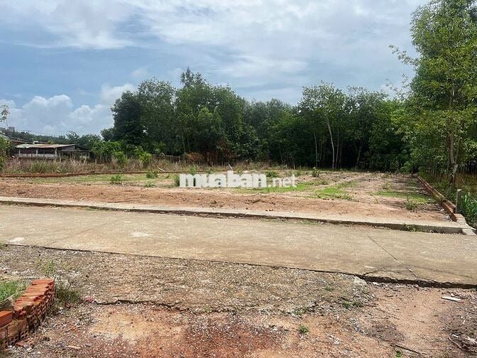 Đất nền full thổ sát KCN Bàu xéo