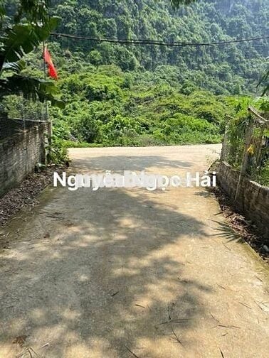 450 TRIỆU – ĐẤT THỔ CƯ 204m² LẠC LƯƠNG – MT 5,66m – SỔ RIÊNG