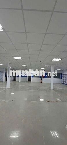 xưởng cho thuê Tân Thới nhất 8 Q12 có pccc giá rẻ