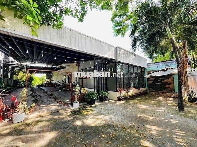 Mặt bằng ngang 14( 660m2) nằm ngay trung tâm Thủ Dầu Một