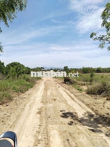 Bán đất tại KDL đồi cát Nam Cương, TP. Phan Rang, diện tích 2000 m2