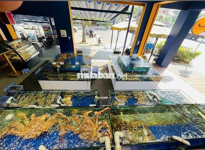 CHO THUÊ NHÀ GÓC 2 MẶT TIỀN ĐƯỜNG TÂN SƠN NHÌ 4X16M 2L VỊ TRÍ CỰC ĐẸP 