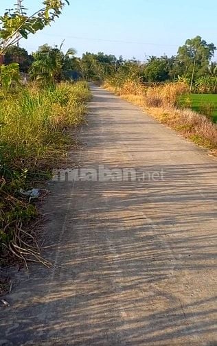 Thổ cư lô 5*48- gần thị trấn- oto tới đất - Đông Thành- Đức Huệ