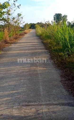 Thổ cư lô 5*48- gần thị trấn- oto tới đất - Đông Thành- Đức Huệ