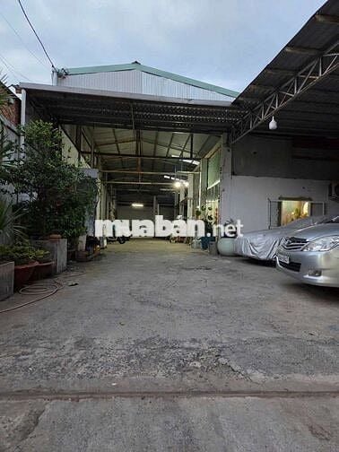 Nhà Mặt Tiền 12m x 50m nở Hậu 20m SD 700m