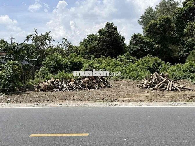 💎 ĐẤT MẶT TIỀN CỰC ĐẸP TẠI PHÚ HÒA ĐÔNG – 851M², SẴN 300M² THỔ CƯ