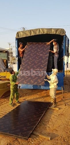 Ván ép phủ phim giá rẻ tại hà nội