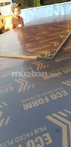 Ván ép phủ phim giá rẻ tại hà nội
