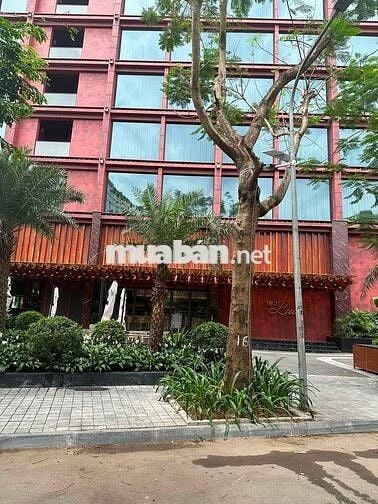 CHO THUÊ NHÀ MẶT PHỐ 16 NGUYỄN TUÂN – THANH XUÂN, HÀ NỘI