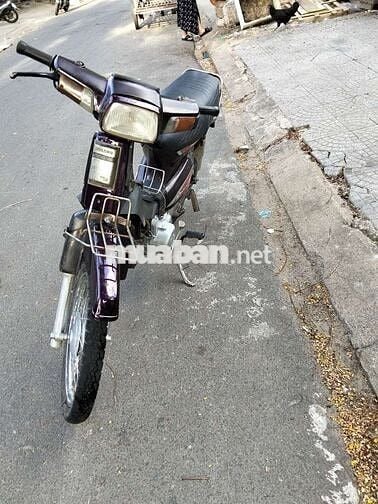 Honda Dream Tím Xe số