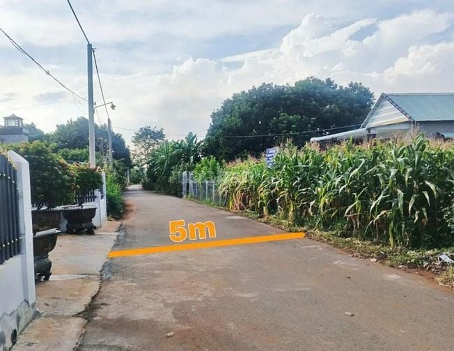 Công ty Đấu giá hợp danh Lam Sơn Sài Gòn THÔNG BÁO ĐẤU GIÁ TÀI SẢN