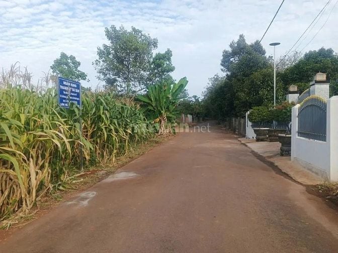 Công ty Đấu giá hợp danh Lam Sơn Sài Gòn THÔNG BÁO ĐẤU GIÁ TÀI SẢN