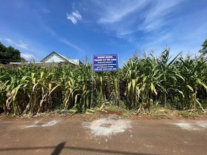 Công ty Đấu giá hợp danh Lam Sơn Sài Gòn THÔNG BÁO ĐẤU GIÁ TÀI SẢN