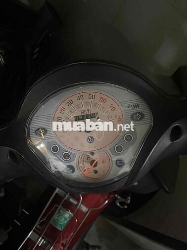 SYM Angela 50 Đỏ đen 50cc