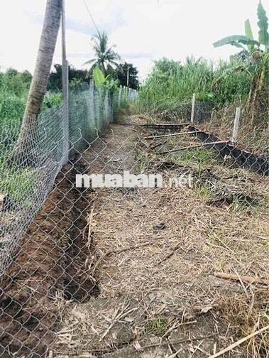 bán đất thổ cư 60m2 xây nhà liền , gần chợ mỹ khánh phường an bìnhh