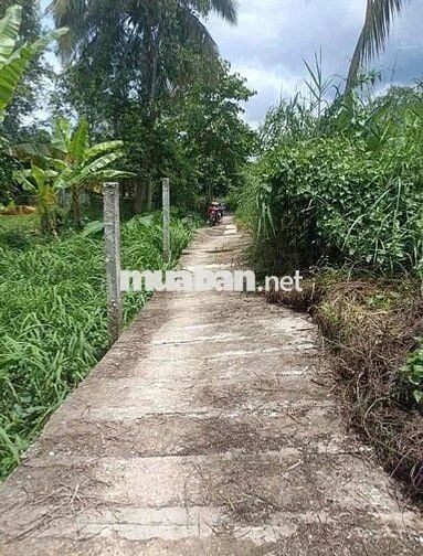 bán đất thổ cư 60m2 xây nhà liền , gần chợ mỹ khánh phường an bìnhh