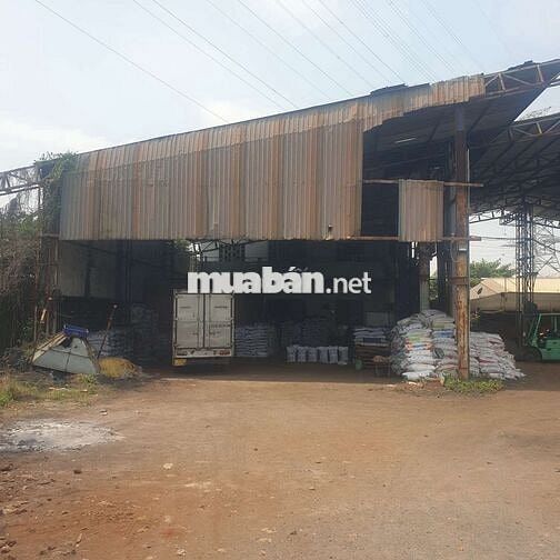 Cho thuê Nhà Kho Xưởng từ 2000m² tại Biên Hòa Đồng Nai