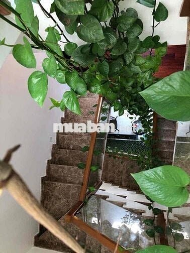 Chính chủ cho thuê nhà Jamona city giá tốt, ở và KD cho KH nước ngoài